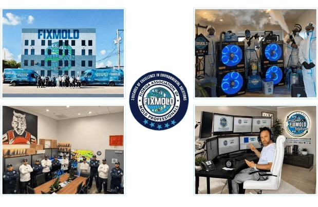 mold-remediation-miami