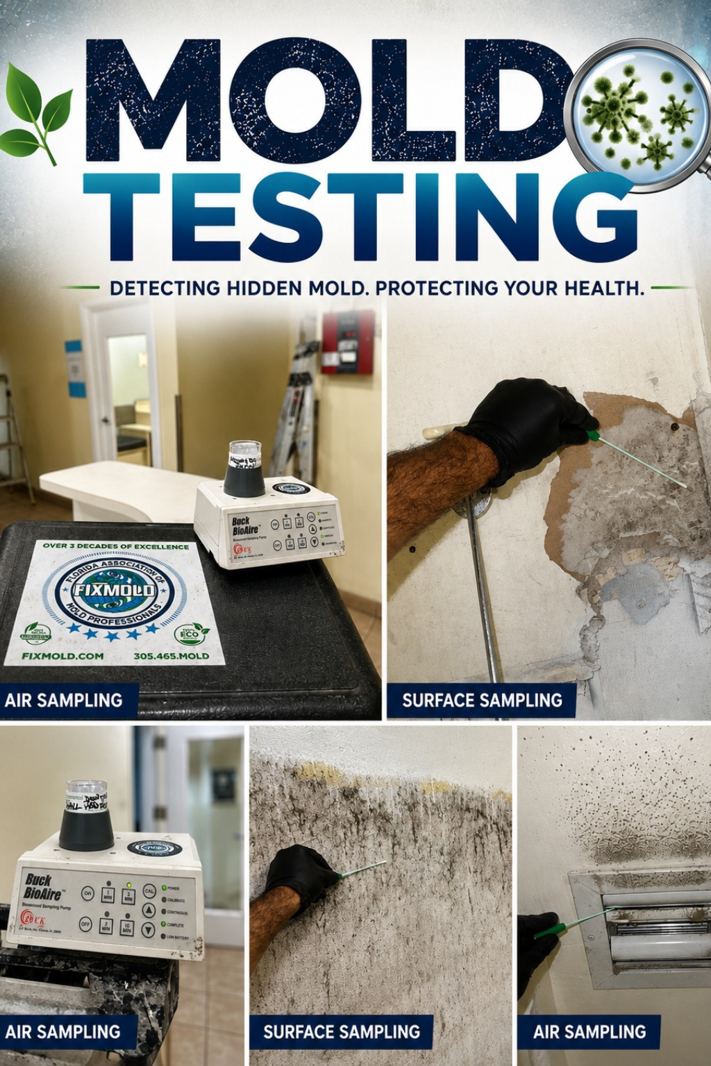 Mold Testing